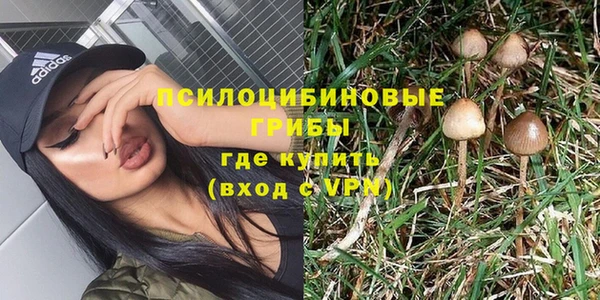 а пвп мука Белокуриха