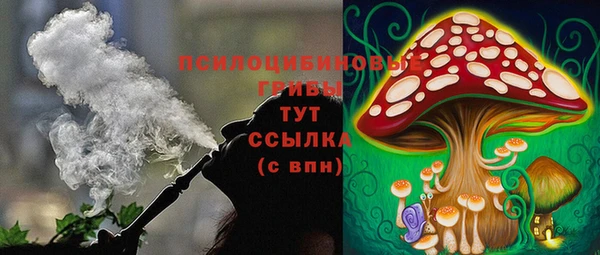 а пвп мука Белокуриха